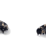 dark-tortoiseshell
