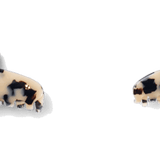 light-tortoiseshell