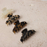 Turtle Story Hair Claw Clip